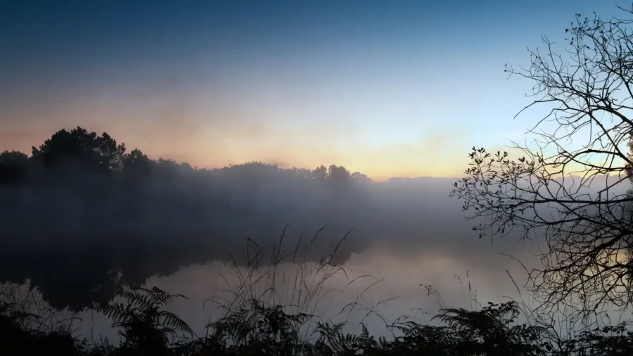 Landscape of Haute-Saintonge in Charente-Maritime, France, in color.