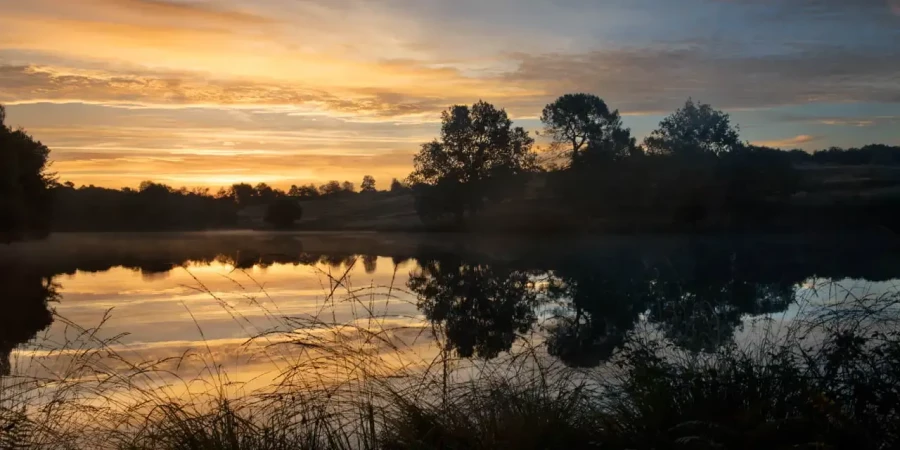 Landscape of Haute-Saintonge in Charente-Maritime, France, in color.