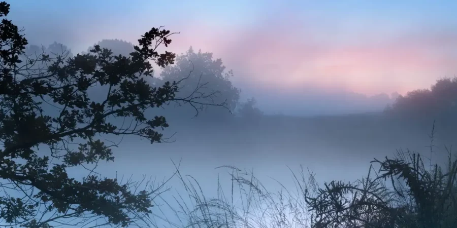 Landscape of Haute-Saintonge in Charente-Maritime, France, in color.