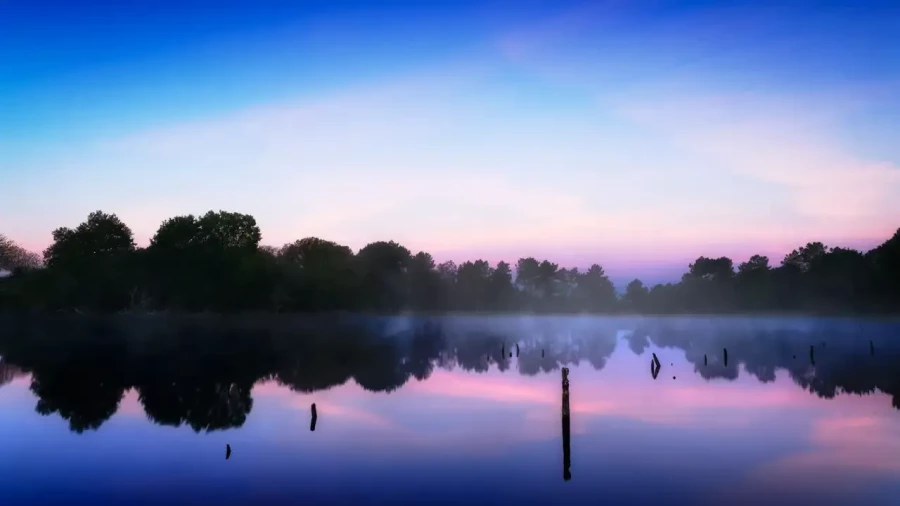 Landscape of Haute-Saintonge in Charente-Maritime, France, in color.