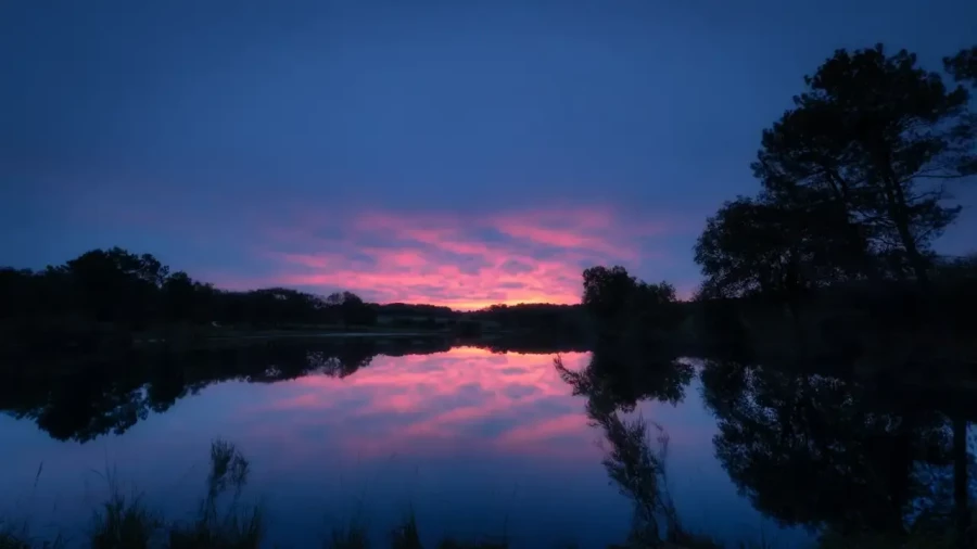 Landscape of Haute-Saintonge in Charente-Maritime, France, in color.