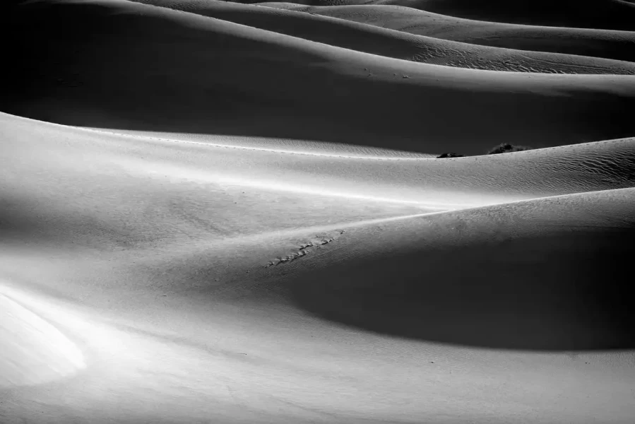 010 sand dunes desert