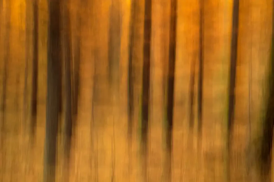001 landscape in icm