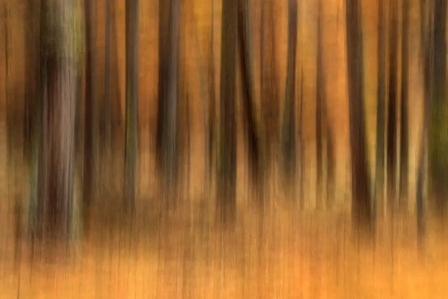 002 landscape in icm