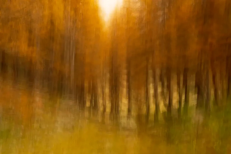 003 landscape in icm