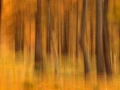 004 landscape in icm