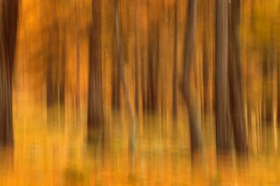 004 landscape in icm