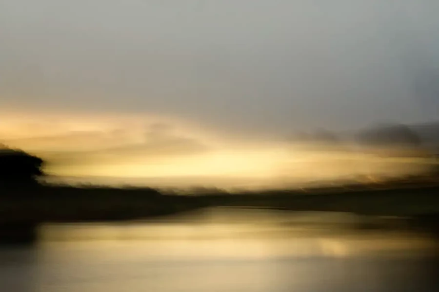 008 landscape in icm