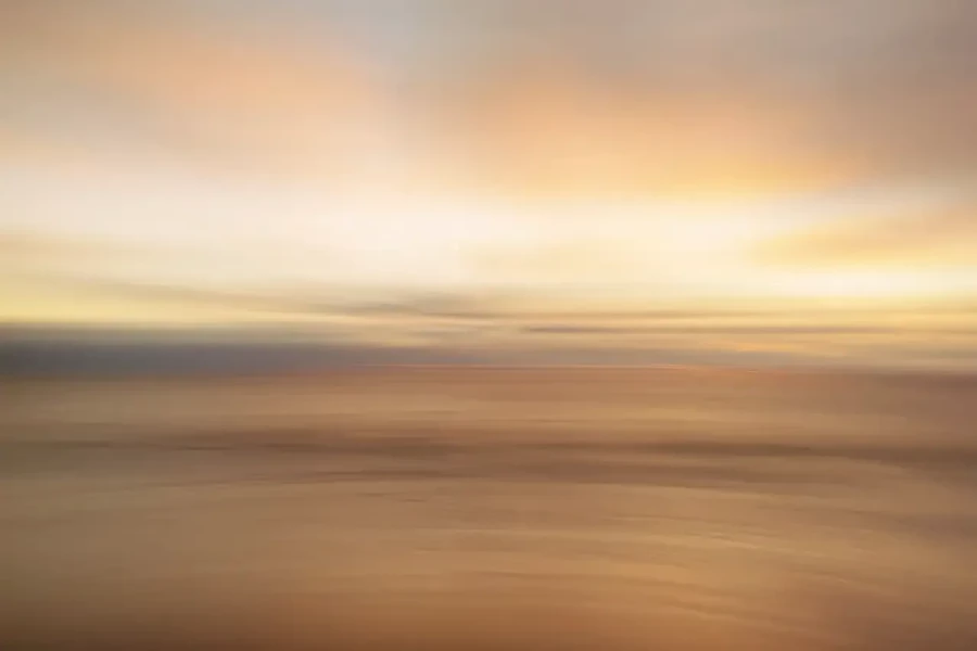 010 landscape in icm