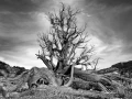 002 timelessness of american landscapes