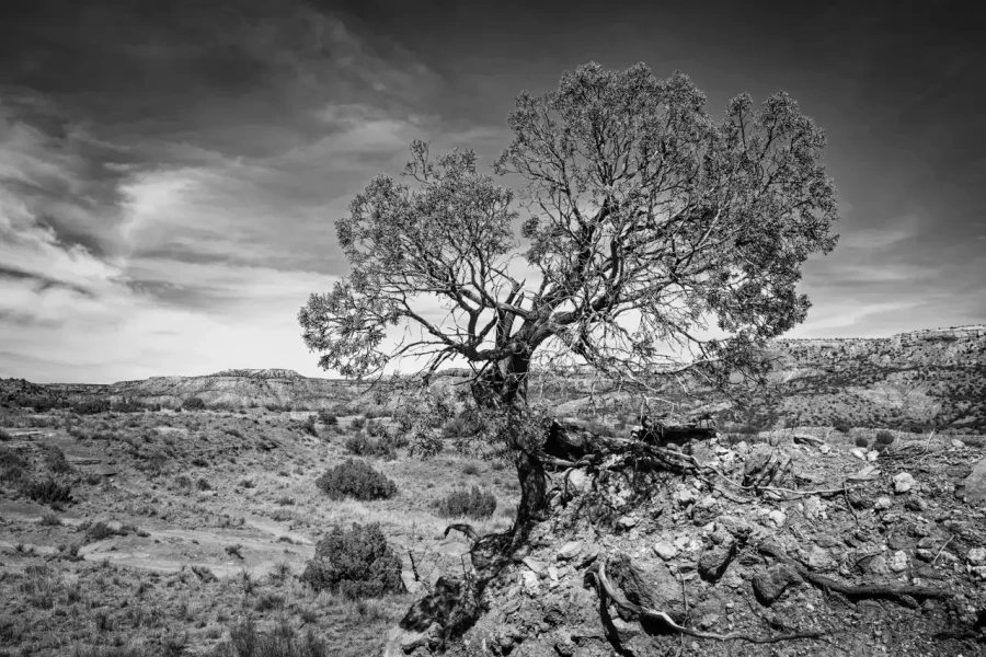 007 timelessness of american landscapes