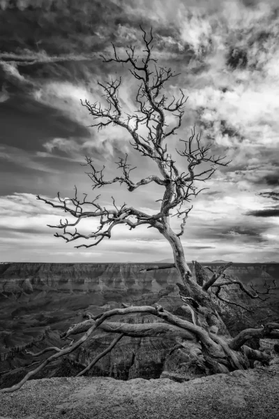 011 timelessness of american landscapes