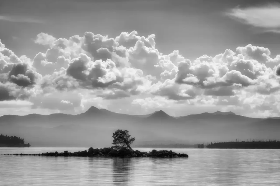 019 timelessness of american landscapes