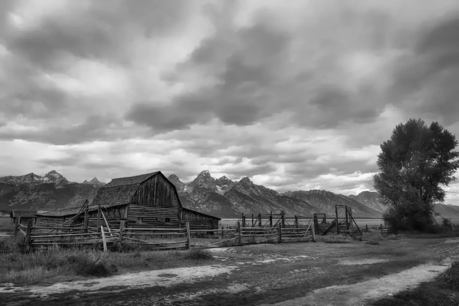 025 timelessness of american landscapes