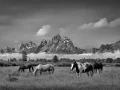 026 timelessness of american landscapes
