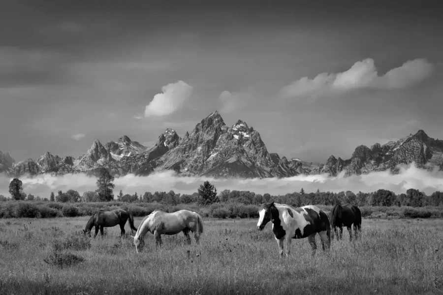 026 timelessness of american landscapes