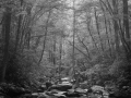 028 timelessness of american landscapes