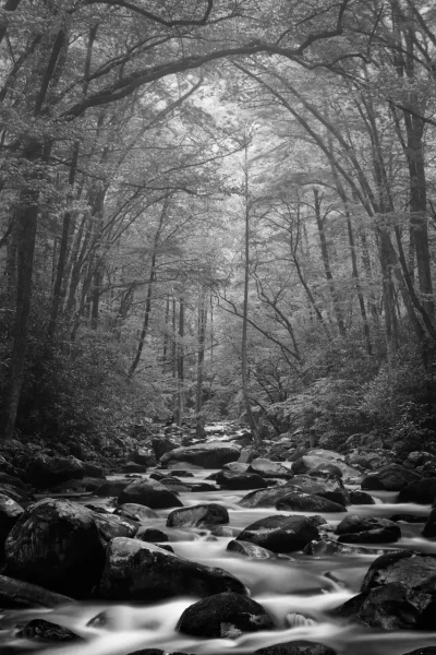 028 timelessness of american landscapes