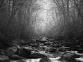 029 timelessness of american landscapes