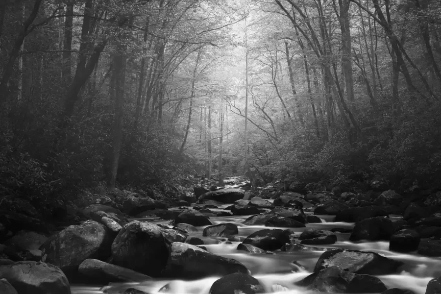029 timelessness of american landscapes
