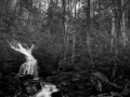 030 timelessness of american landscapes