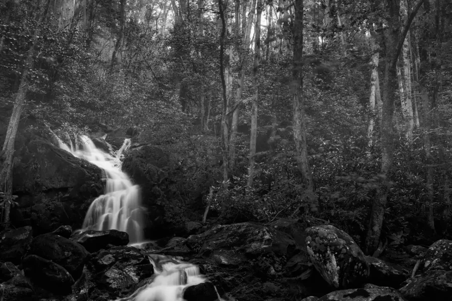 030 timelessness of american landscapes
