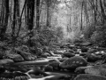 035 timelessness of american landscapes