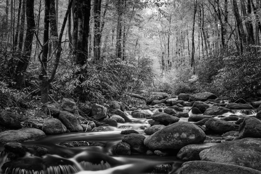 035 timelessness of american landscapes