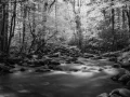 037 timelessness of american landscapes