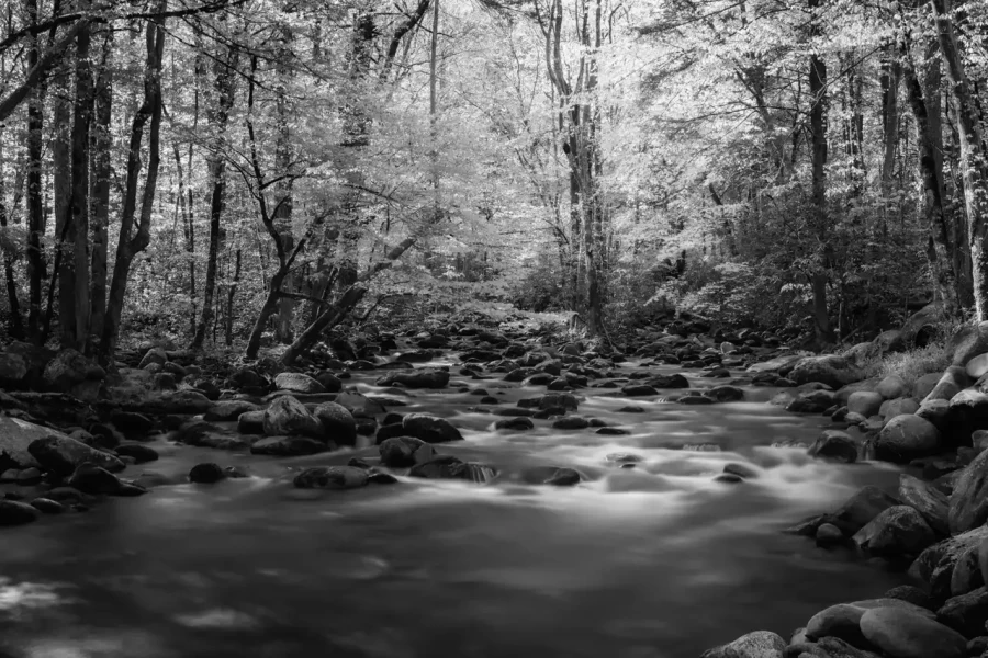 037 timelessness of american landscapes