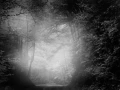 039 timelessness of american landscapes