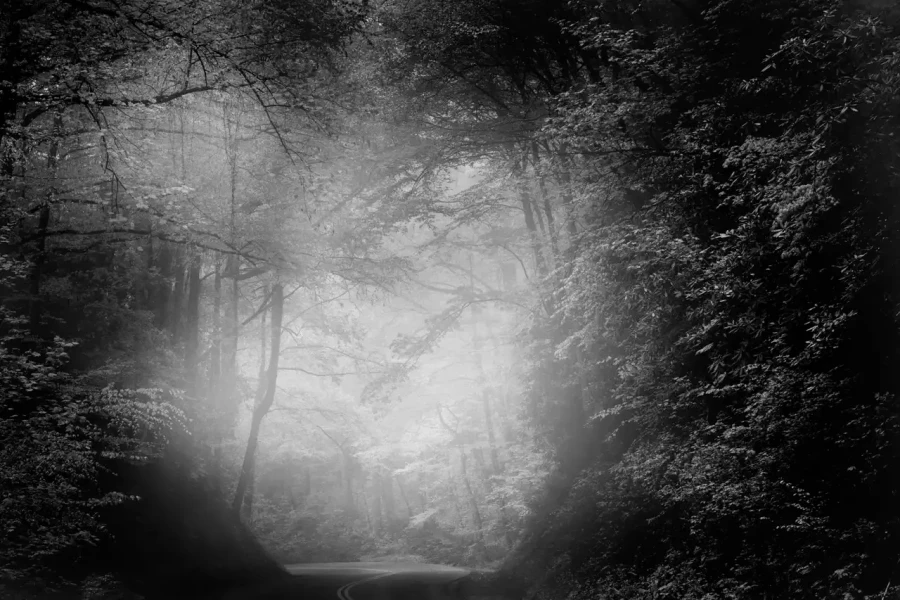 039 timelessness of american landscapes