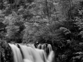 040 timelessness of american landscapes