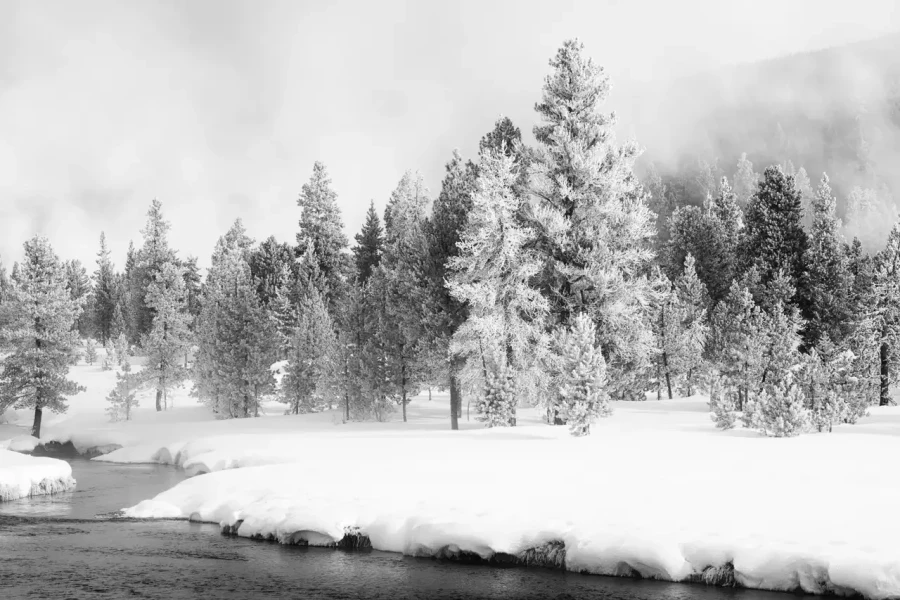041 timelessness of american landscapes