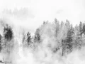 042 timelessness of american landscapes