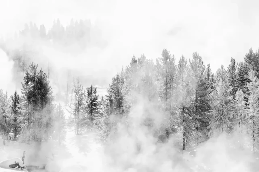 042 timelessness of american landscapes