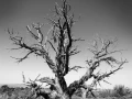 045 timelessness of american landscapes