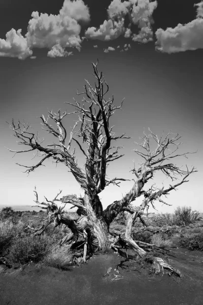 045 timelessness of american landscapes