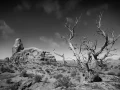 046 timelessness of american landscapes