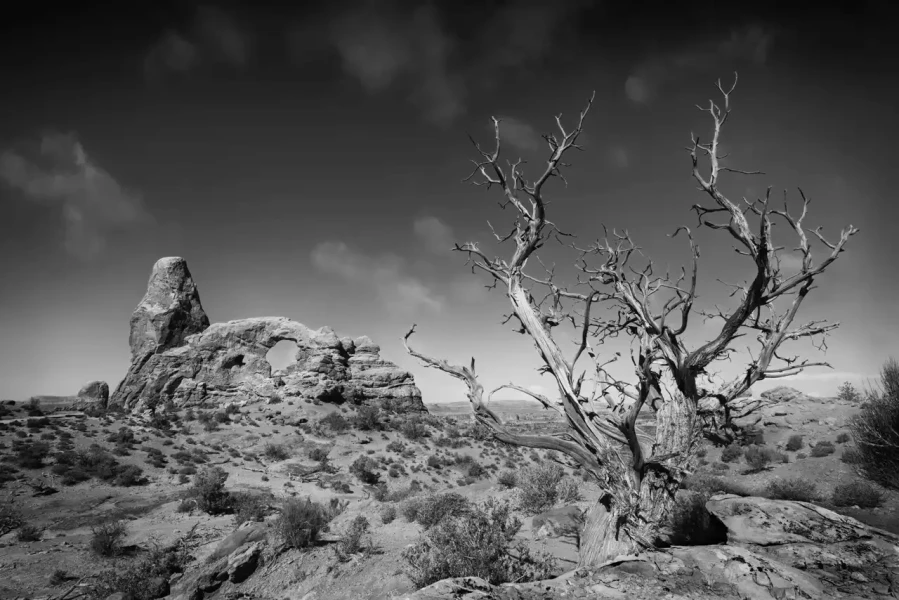 046 timelessness of american landscapes