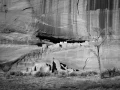 058 timelessness of american landscapes