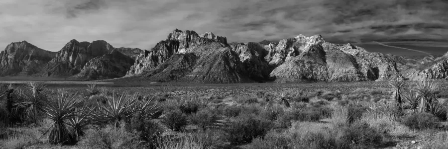 061 timelessness of american landscapes