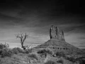 065 timelessness of american landscapes