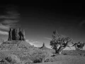 067 timelessness of american landscapes
