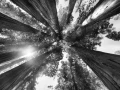 070 timelessness of american landscapes
