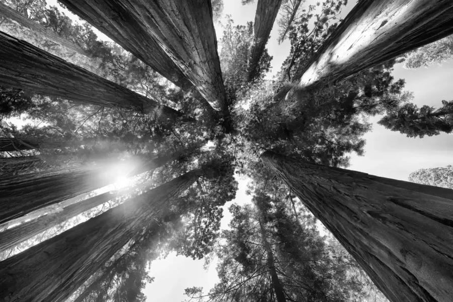 070 timelessness of american landscapes