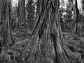 071 timelessness of american landscapes