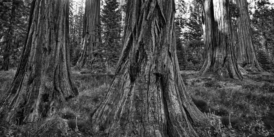 071 timelessness of american landscapes
