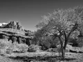 083 timelessness of american landscapes