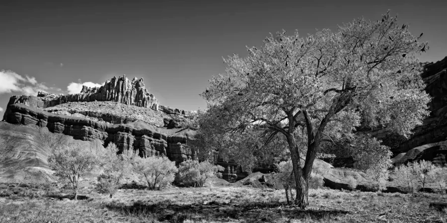 083 timelessness of american landscapes